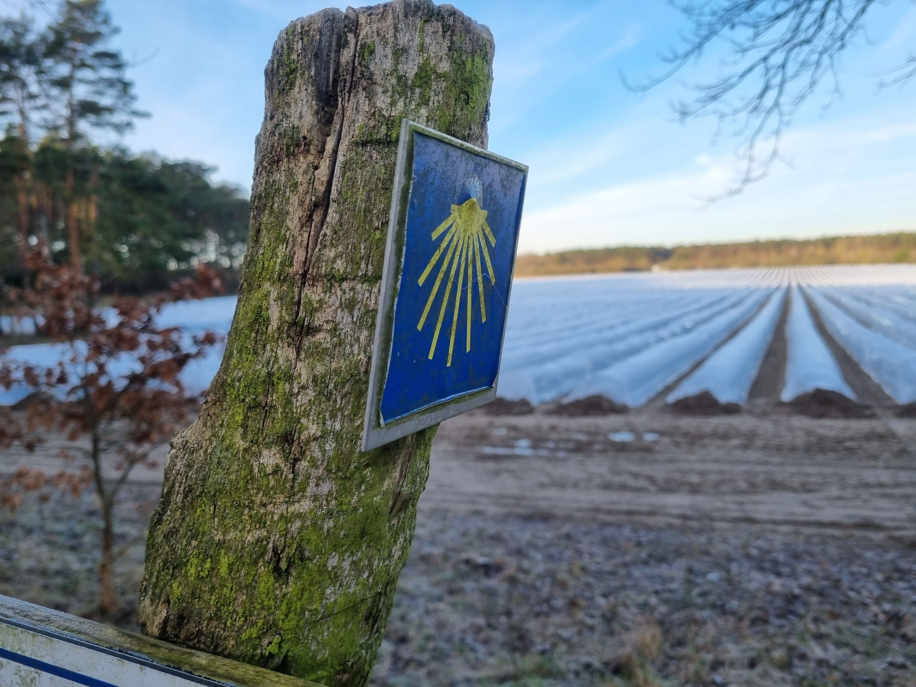 Brandenburger Jakobsweg im Spreewald