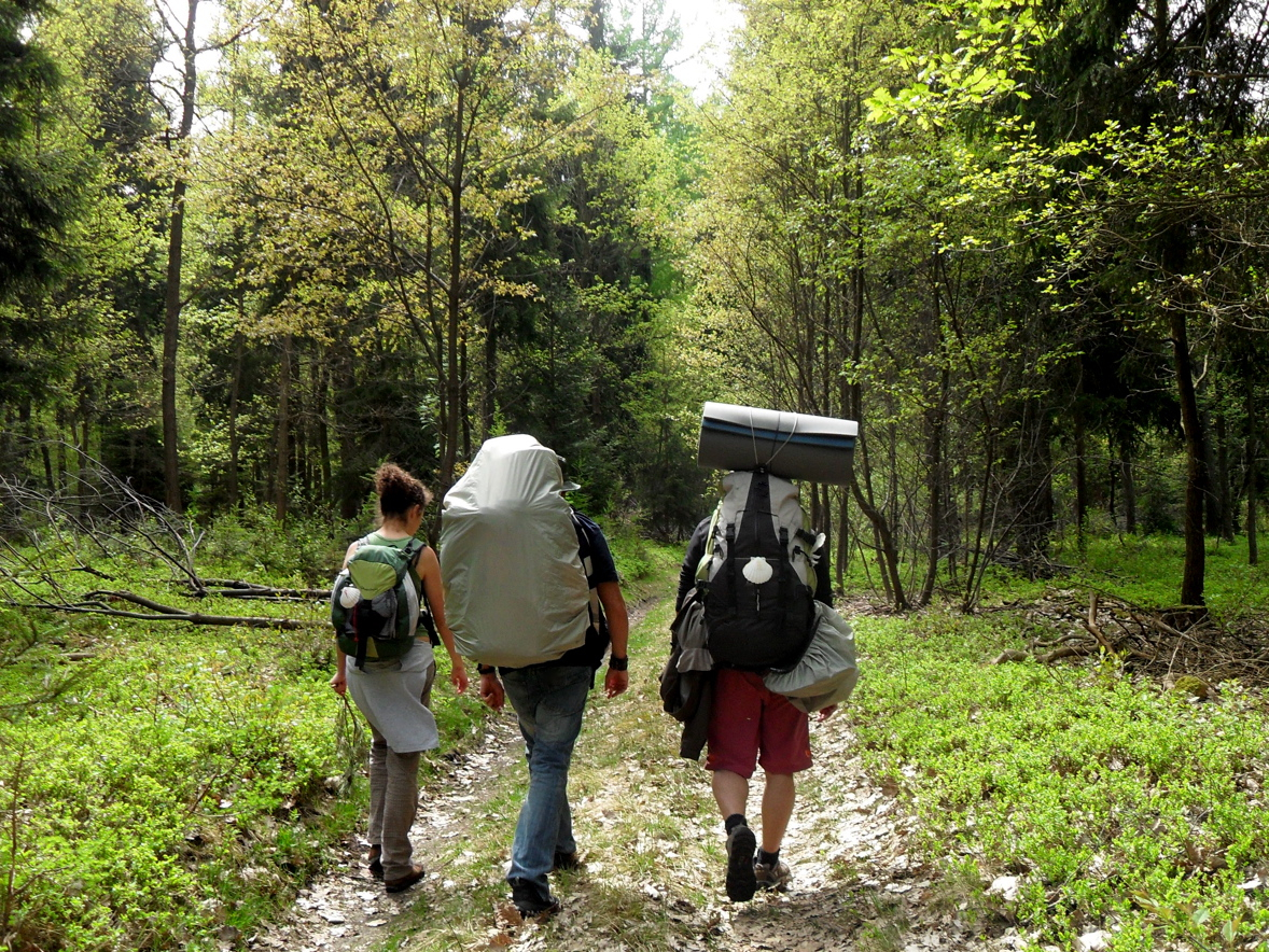 Pilger im Wald